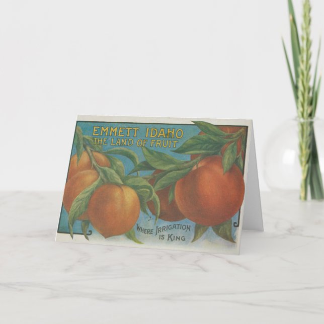 Cartão Pêssegos (Frente)