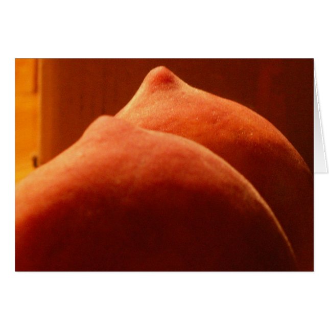 Cartão pêssegos frescos do verão (Frente Horizontal)