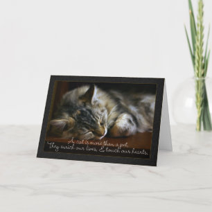 Cartão Pet Cat Sympathy Card, Loss Of Pet