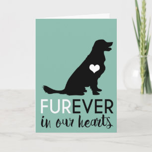 Cartão Pet Dog Condolence Para Sempre Em Nossos Coraçõe