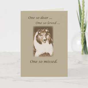 Cartão Pet Loss, Sheltie Dog Sympathy, Shetland Sheepdog