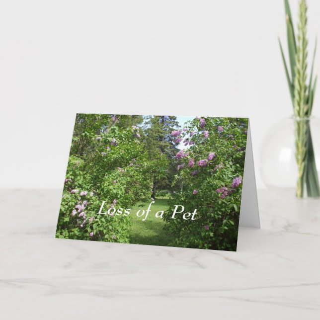 Cartão Pet Sympathely-Lovely Lilac Bush Card (Frente)