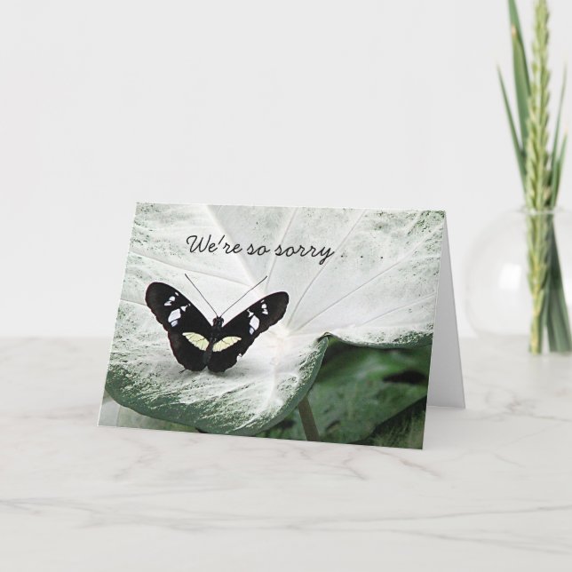 Cartão Pet Sympathy (Frente)