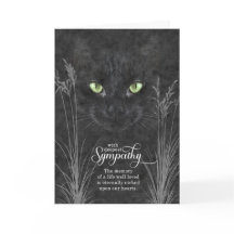 Pet Sympathy for Losse a uma Cinza de Carvão Gato
