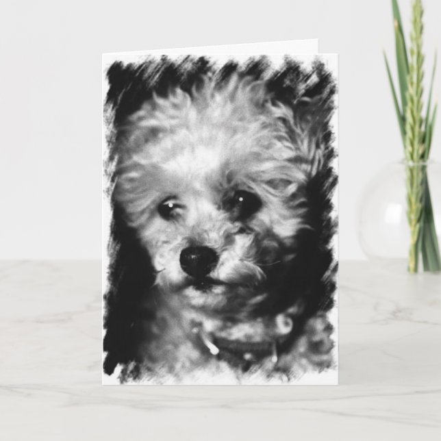 Cartão Pet Sympathy - Greeting Card (Frente)