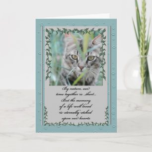 Cartão Pet Sympathy Perda de Cat Tabby na Grama