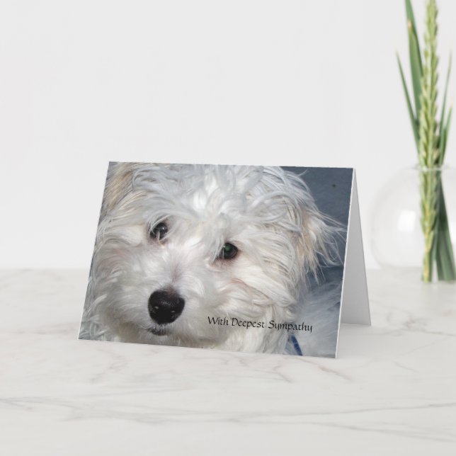 Cartão Pet Sympathy - perda de um cão (Frente)