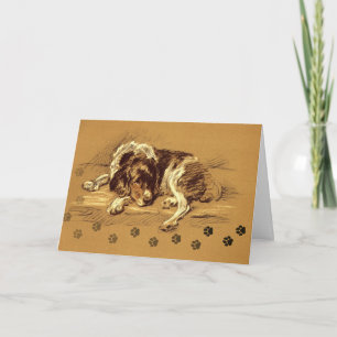 Cartão Pet Sympathy Sad Dog Linda Ilustração