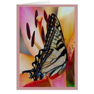 Cartão Pétalas bonito