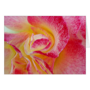 Cartão pétalas cor-de-rosa amarelas