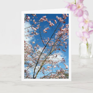 Cartão Pétalas Cor-de-Rosa em Paisagem de Céu Azul