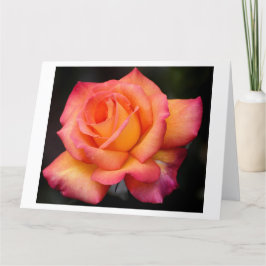 Cartão pétalas de flores de rosa