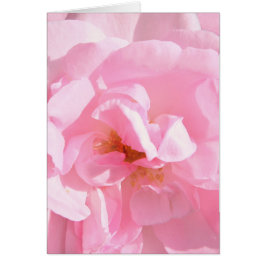 Cartão pétalas de rosa rosa pálido