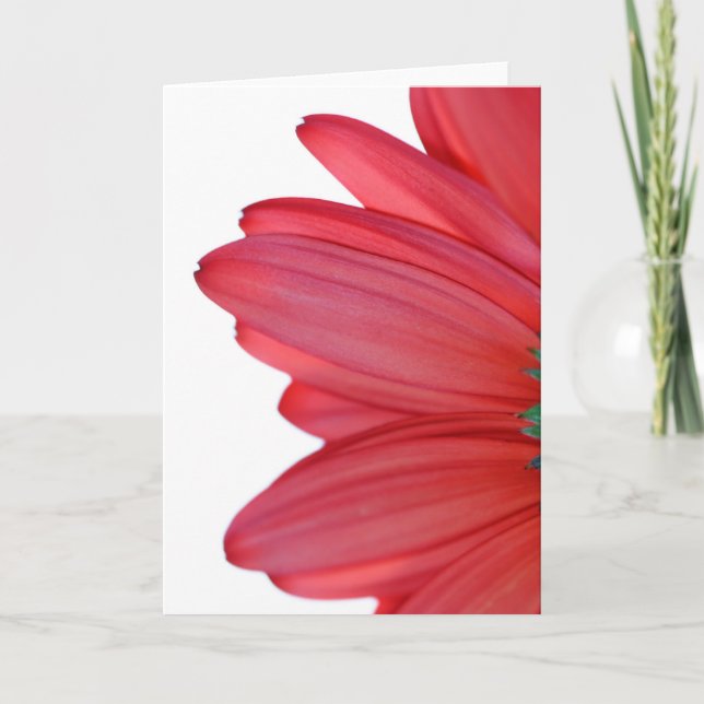 Cartão Pétalas do céu (Frente)