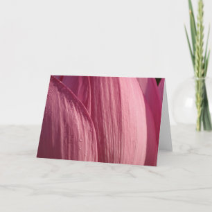 Cartão Pétalas Flor de Lótus Rosa Floral