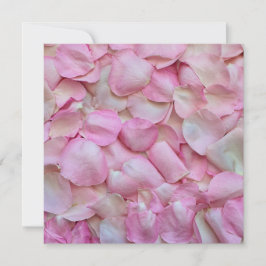 Cartão Pétalas Rosa Rosa Rosa Rosa Rosa Rosa Rosa Rosa Ro
