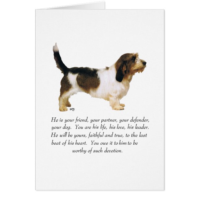 Cartão Petit Basset Griffon Vendeen Male (Frente)