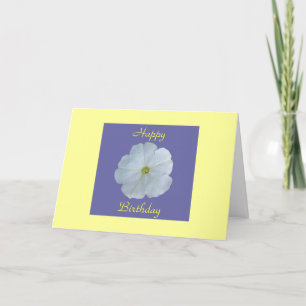 Cartão Petunia branca