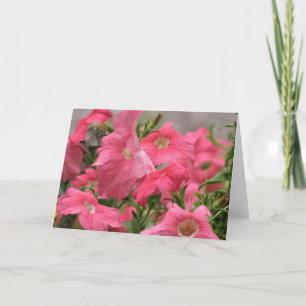 Cartão Petúnias cor-de-rosa