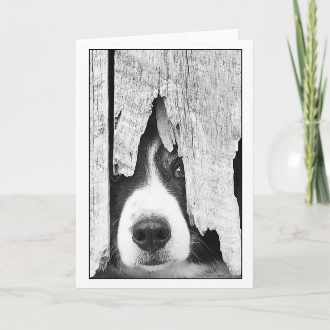 Cartão peye2 (Frente)