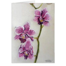Cartão Phalaenopsis de "orquídea traça" 5" x 7", com