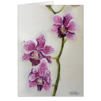Cartão Phalaenopsis de "orquídea traça" 5" x 7", com