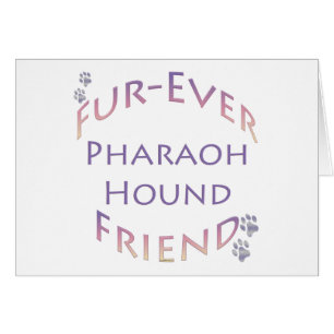 Cartão Pharaoh Hound Futher