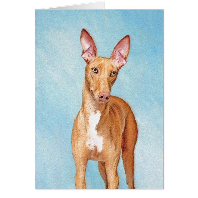 Cartão Pharaoh Hound Painting - Arte Cachorra Original (Frente)