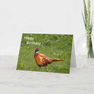 Cartão Pheasant Birthday Card