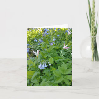 Cartão Philippians 4:4 Blank Card