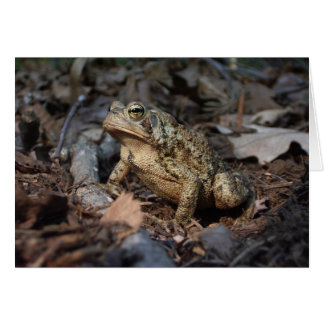 Cartão Philosophical toad frog greeting card
