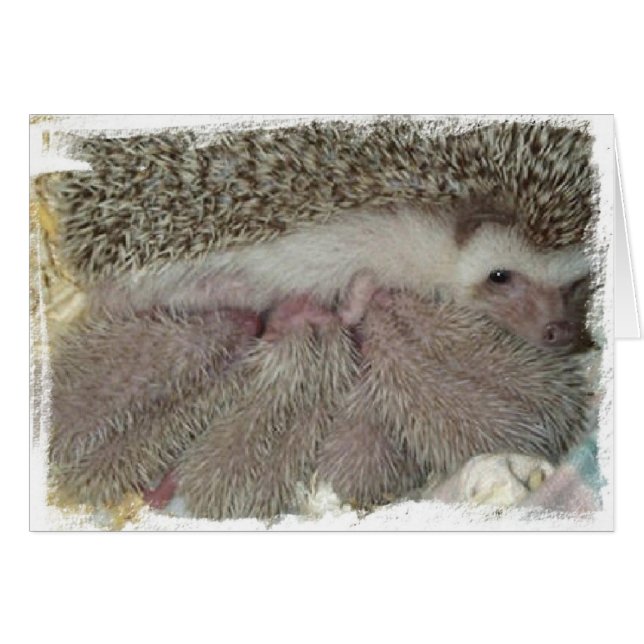 Cartão Phlox e Bebês (Frente Horizontal)