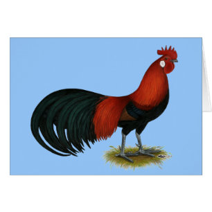 Cartão Phoenix: B Red Rooster