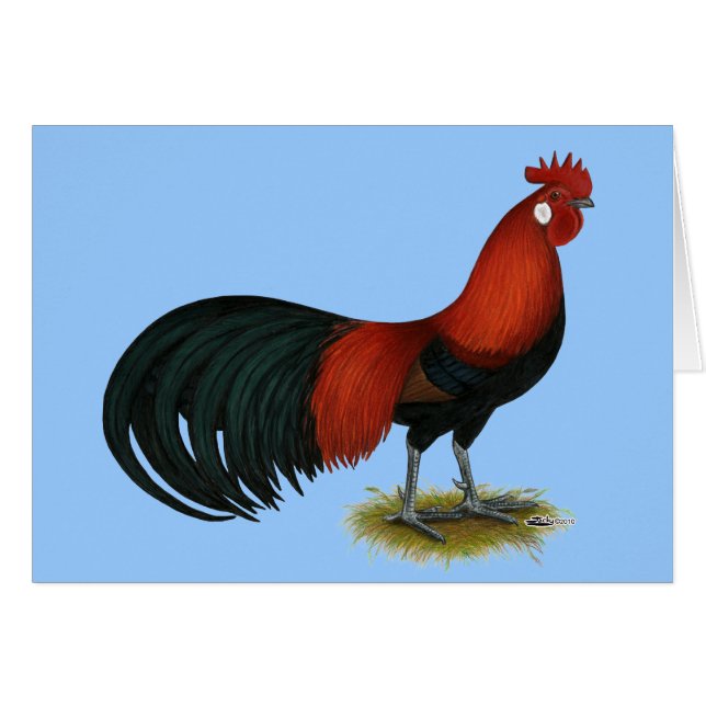 Cartão Phoenix: B Red Rooster (Frente horizontal)