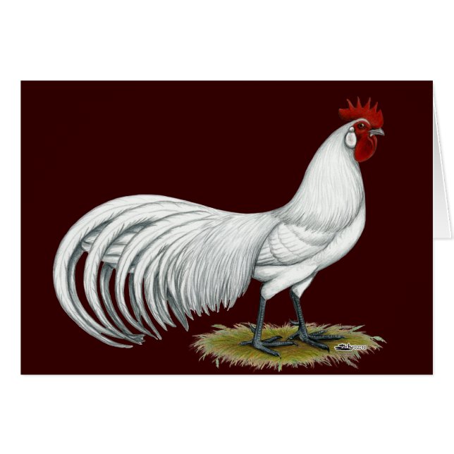 Cartão Phoenix: White Rooster (Frente horizontal)