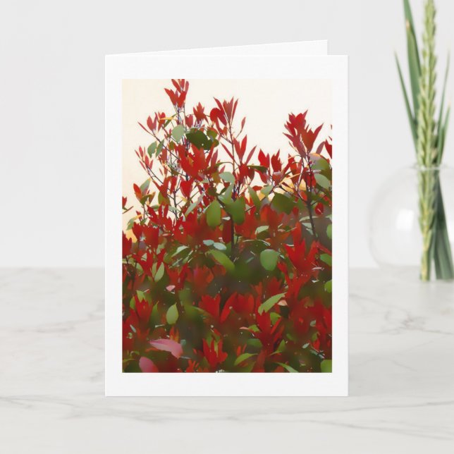 Cartão Photinia bush Birthday (Frente)