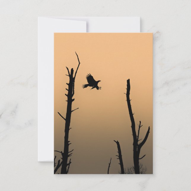 Cartão Photo Sea-Eagle Wildlife (Frente)