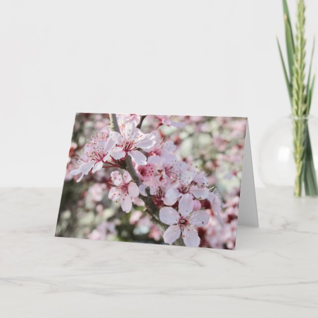 Cartão Pia Brilhante, Cola Vermelha. (Frente)