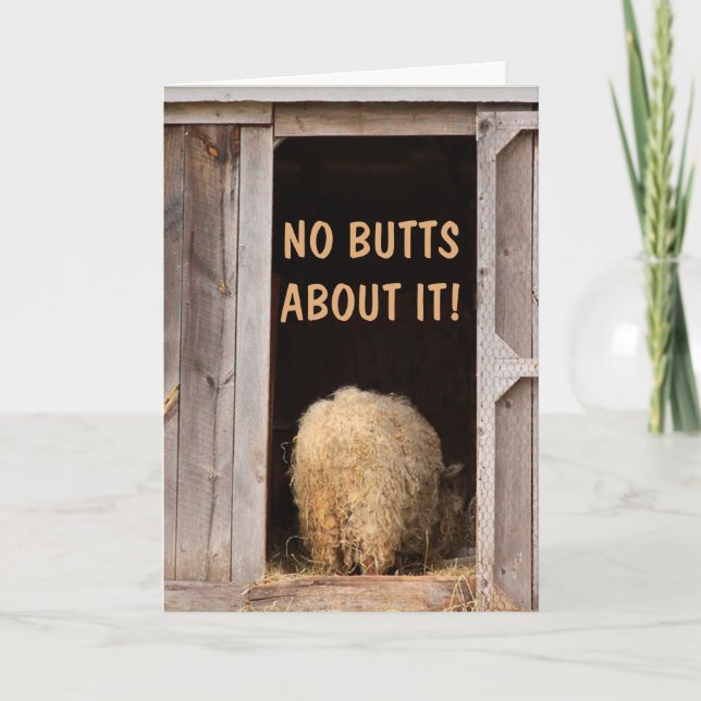 Cartão Piada de Bobo de Ovinos fique bem (Frente)