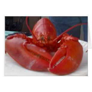 CARTÃO PIADAS DE LOBSTER COMICAL MAS DIZ "ANIVERSÁRIO FEL