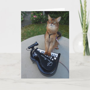 Cartão Piano Cat, Somali Cat Musician Playing Piano Funny