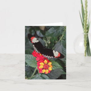 Cartão Piano Key Butterfly Notecard