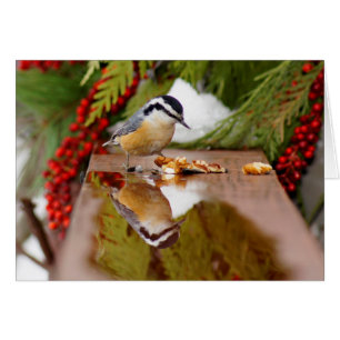 Cartão Pica-pau-cinzento de peito encarnado