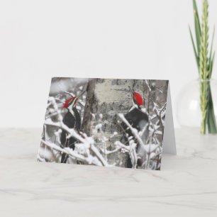 Cartão Pica-Pau No Inverno