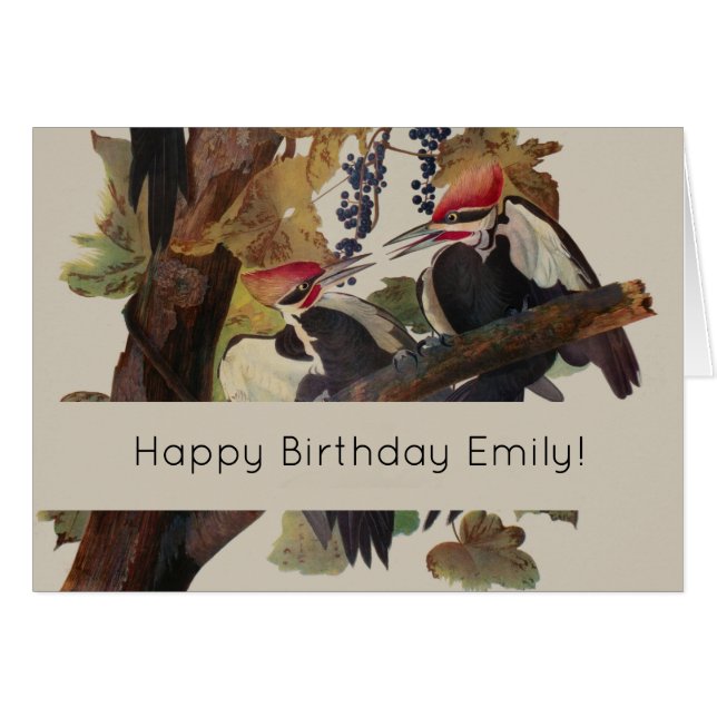 Cartão Pica-Pica-Pica-Pica Audubon Pileada (Frente Horizontal)