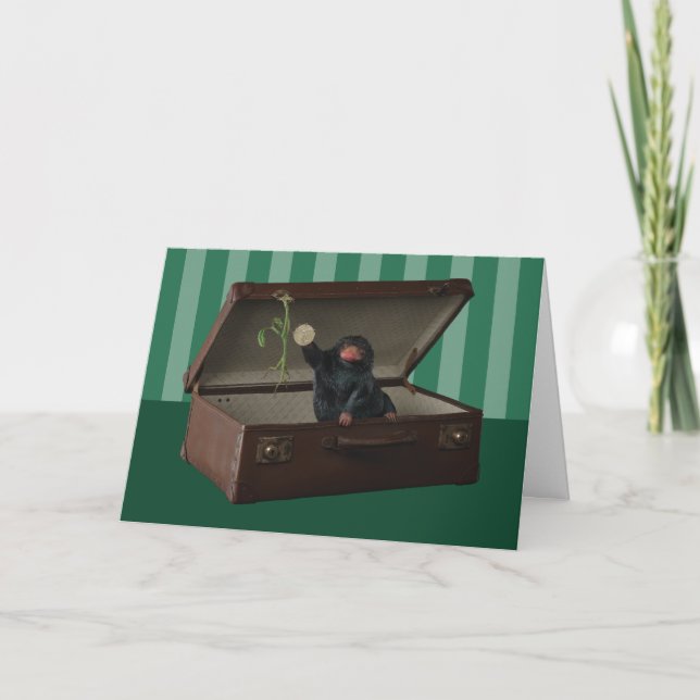 Cartão Pickett e Ursinho em Briefcase (Frente)