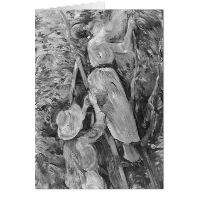 Cartão Picking cherries, 1891 (Frente)