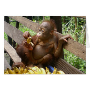 Cartão Picnic de bananas de Baby Animal