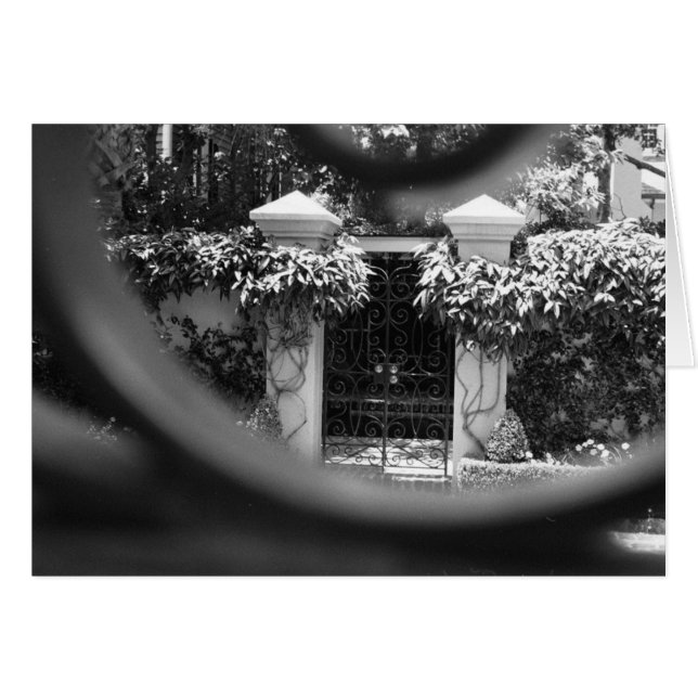 Cartão Pico do Sneak (Frente Horizontal)