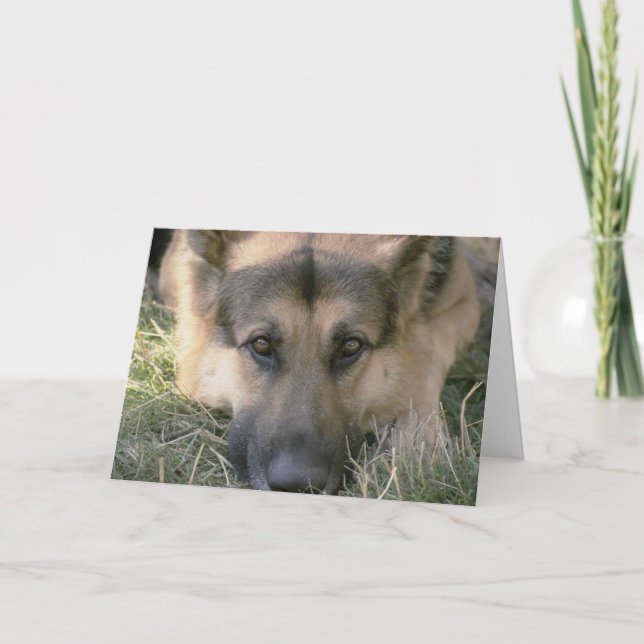 Cartão Picture Perfect Puppy Dog (Frente)